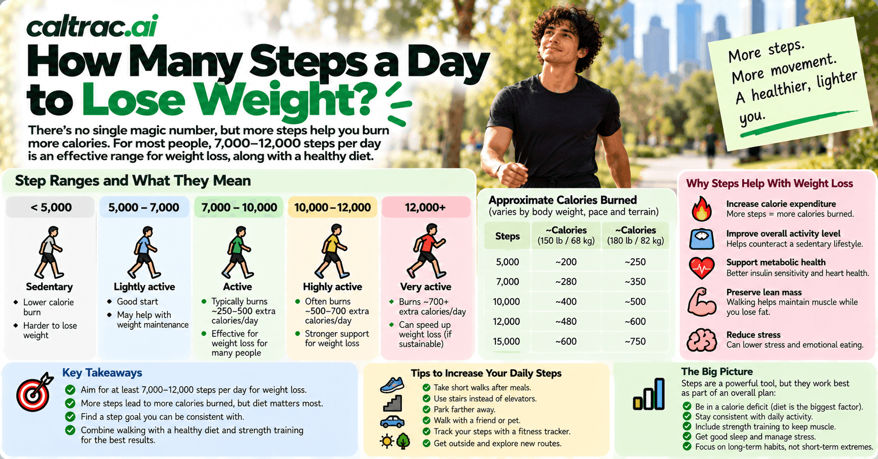 How Many Steps a Day to Lose Weight? Steps, Calories Burned and Net Calories Explained